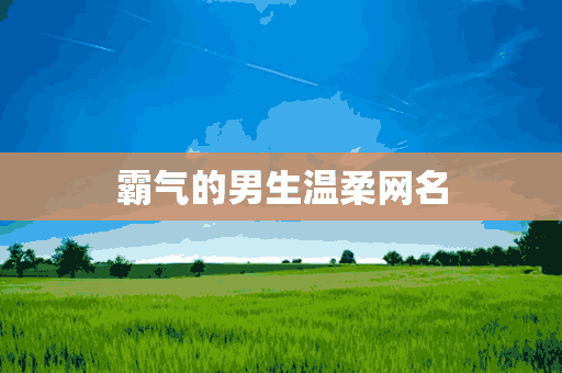 霸气的男生温柔网名(霸气的男生温柔网名大全)